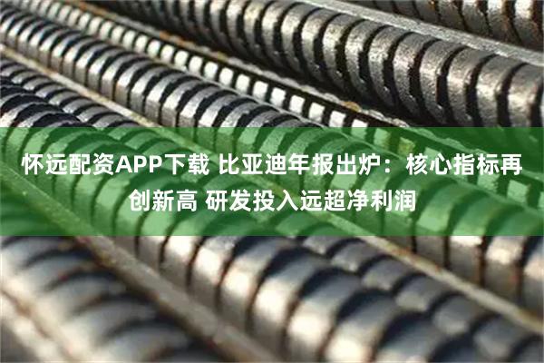 怀远配资APP下载 比亚迪年报出炉:核心指标再创新高 研发投入远超净利润